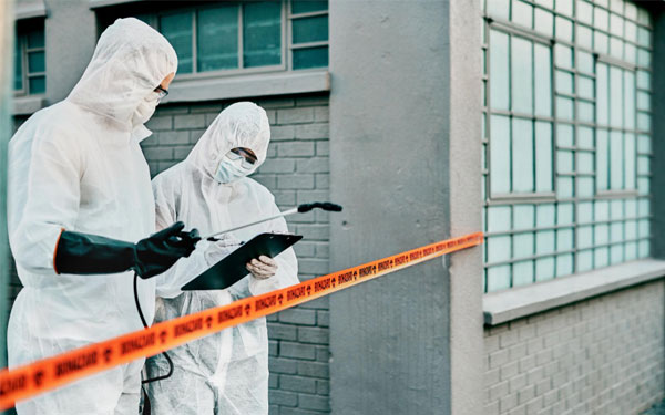 Are Pest Control Services Worth It for Cockroach Infestations?